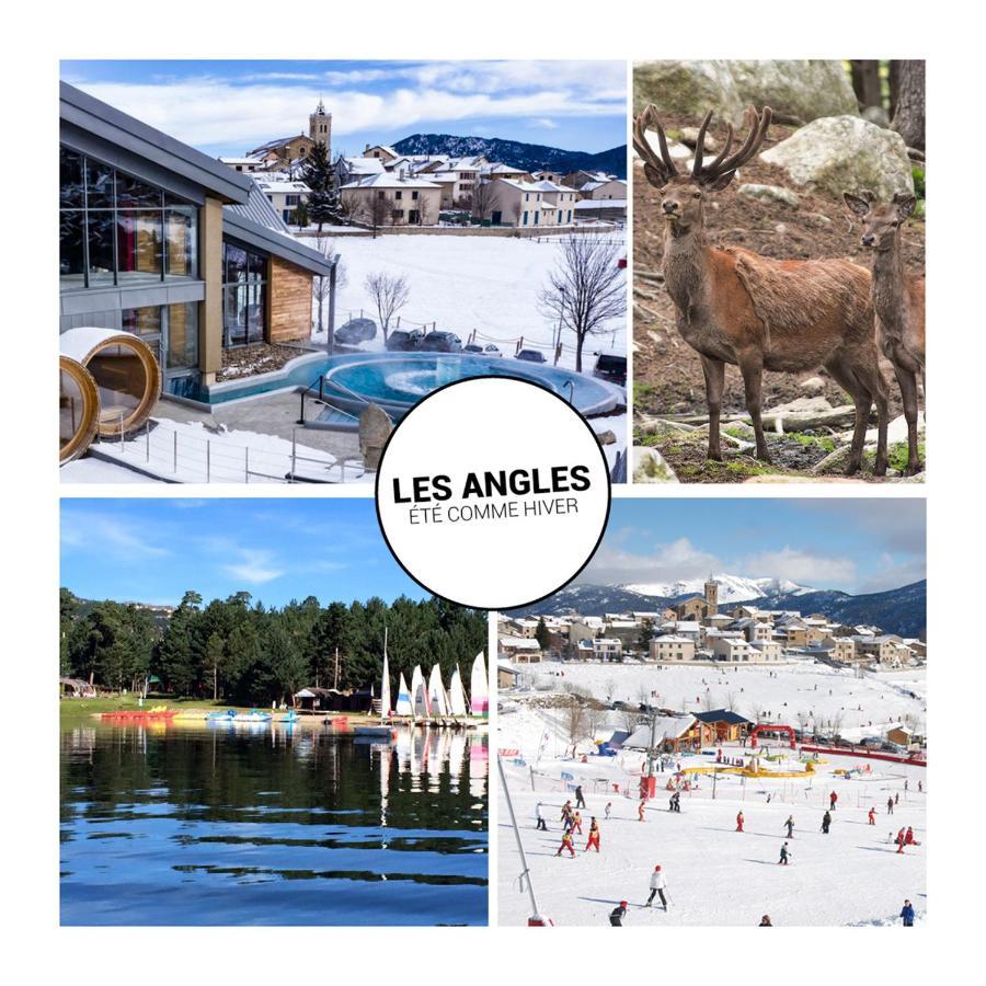 Le Petit Ours & Le Petit Cerf - Studios Vue Lac & Montagnes Les Angles  Eksteriør billede
